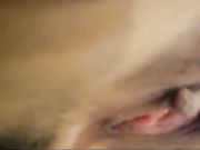 新晋网红二次元狂热美少女首爆处女新作 漂亮美乳爆奶粉嫩美鲍巨乳诱惑