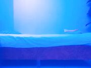 足浴店插科打诨跟小少妇想谈甚欢温柔配合没少做