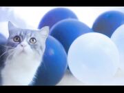 情趣换装真实无套内射 高潮喷射 白浆模流