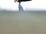 娇妻连续勾搭美团两外卖小哥玩3P