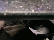 嫩妹子KTV沙发啪啪冰红茶抹JJ插入猛操