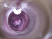 明星淫梦-陈钰琪 无码群交内射