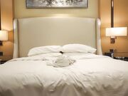 3000约外围 躺在胯下狂插樱桃小口 清纯女神乖巧可爱 香艳刺激必看