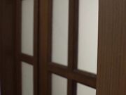 丈夫不在时 讨厌的婆婆吃女婿2