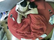 酒店偷拍白嫩大奶美女被小伙毫不留情的爆干美女受不了求饶