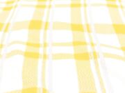 美女主播 18岁极品颜值大学生榨精少女人美逼紧男友操不到五分钟就射了