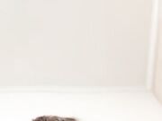 全程露脸第一视角苗条高挑女友卖力口交含大屌十分卖力 对白超级刺激