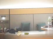 外围小姐姐第一次见这么大的鸡巴给她塞满了干的她一直叫