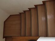 目睹宅女妹妹自慰的我 理性彻底崩溃1