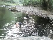 户外露出被大鸡巴操屁股后入