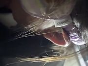 泰迪百人斩 酒店约炮极品反差婊御姐范眼镜学姐各种AV姿势上演动作片