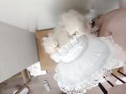 真实高中洛丽塔被富哥无套破处内射