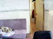 各种居家隐秘私生活TP露出大合集蹲在床上操媳妇和在客厅抱着媳妇边走边草的夫妻是真猛啊