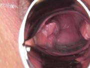 小穴图鉴 麻生希マンコ図鑑