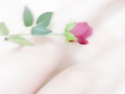 黑丝女警制服诱惑翘挺巨乳