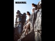 冷情艳色の欲望 极度香艳诱惑