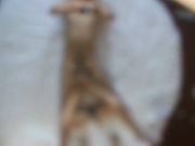 哥哥你快给我,肉丝高跟护士制服女友啪啪高清无水印版