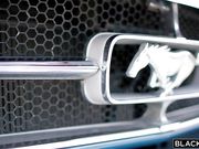 时尚美女的大长腿诱惑挡不住绝对销魂