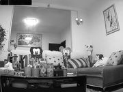 偷拍洗完澡出来的美少妇和留着小胡子的老公在沙发做爱