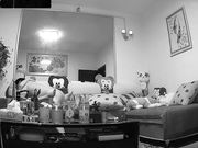 破解摄像头偷窥洗澡出来的美少妇和留着小胡子的老公在沙发啪啪