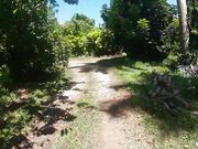 骑车到户外树林里打野炮的大屁股少妇