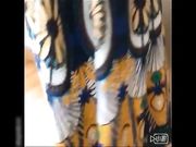 真空穿女人味十足连衣裙掀起就啪啪呻吟太好听