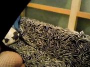 空姐自拍流出完整版