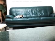 校长趁老婆出差之时把大学生情人带到家里打炮鸳鸯浴后沙发上大战