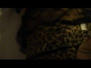 豹纹情人上上面啪啪地大力抽插