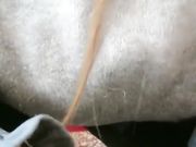 搭讪美容院老板娘卖淫口活吹硬然后各种姿势啪啪