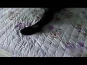 哥哥不在家乱伦草了午休的嫂子