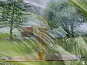 美女老师和学员情侣一起啪啪发骚勾搭