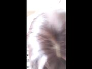 大奶黑丝骚少妇，激情啪啪69活真好，多姿势爆草