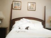 网约御姐型美女很骚很主动像情侣一样啪啪啪